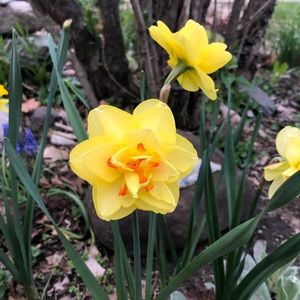 Meet your Posher, Deb